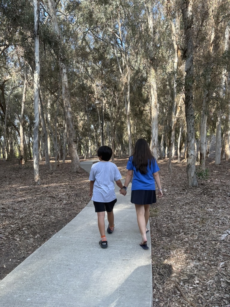 Two children seen from behind, holding hands as they walk a paved path through a eucalyptus grove.